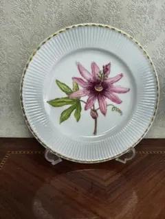 2026年最新】フローラダニカの人気アイテム - メルカリ