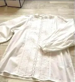 earth music&ecology 刺繍　パフスリーブ長袖ブラウス美品