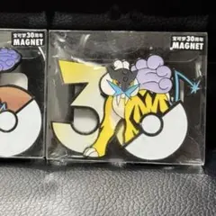 ポケモン 30周年記念 マグネット セット イシヘンジン テッカグヤ