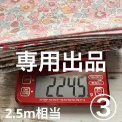 (専用出品)530km様 リクエスト 3点 まとめ商品