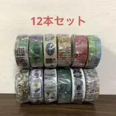 【未開封】mt マスキングテープ　12本セット　限定　マステ　カモイ