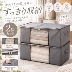 ☆最新モデル☆帝人☆収納ケースプレミアム☆大2個小1個×2セット