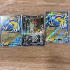 ポケモンカード ライコウex SAR RR セット - メルカリ