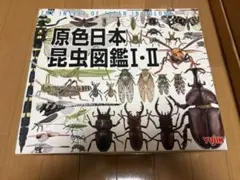 2026年最新】原色日本昆虫図鑑の人気アイテム - メルカリ
