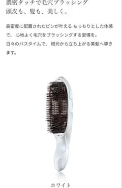 ReFa イオンケアブラシプレミアム　ホワイト