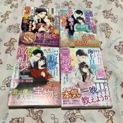 TL小説 マーマレード文庫　４冊