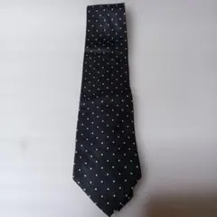 Item thumbnail for item e1a8ba2a-c42e-4418-8fc2-589d2bafa11f