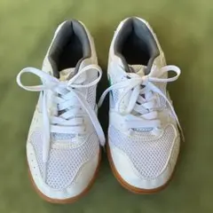 MIZUNO 体育館シューズ　24.5