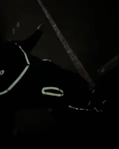 Nike テックフリース 反射 リフレクティブ UK