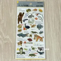 24時間以内発送、おまとめ値引き可能様 リクエスト 3点 まとめ商品