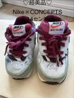 【ほぼ未使用】ナイキNIKE × CONCEPTS コラボスニーカー 14cm