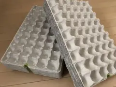 2026年最新】菌糸ボトル中古の人気アイテム - メルカリ