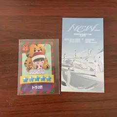 SEVENTEEN セブチ パズチ パズルティーン ホシ　HOSHI