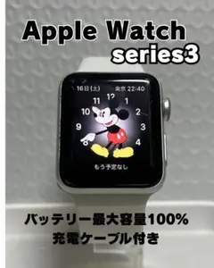 AppleWatch series3GPS 38㎜ 最大容量100% No.13