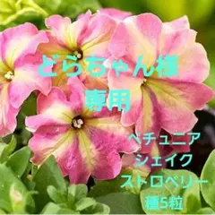 どらちゃん様 リクエスト 2点 まとめ商品