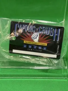 アイアンマインド C.O.C 認定カード IRONMIND