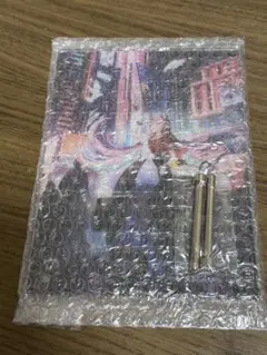 CrazyRaccoon アクリルパネル sellyのサムネイル