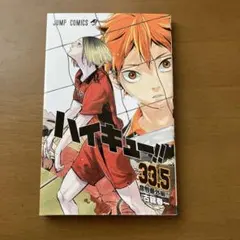 ハイキュー!! 33.5 音駒番外編