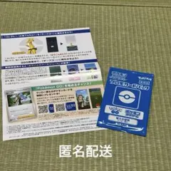 ［Y95］ポケモン　プロモカードパック　ウィロー博士　博士の研究