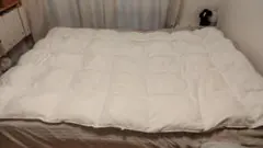 ニトリ　掛け布団