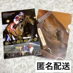 ヴィクトワールピサ ヒーロー列伝 ディープインパクト クリアファイル セット