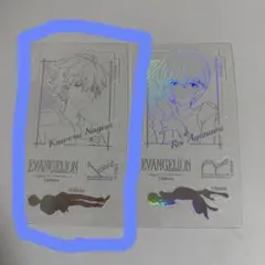 ginsasumi★☆ブロフ必読様 専用ページ 渚カヲル