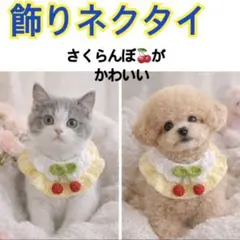 Item thumbnail for item 1d8aae4b-d599-437e-a72f-6f46318ca4f6