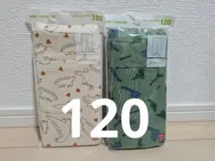 Item thumbnail for item 8f127e35-551e-4d88-a1af-49b60c2101b4