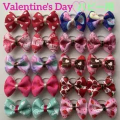 Item thumbnail for item 959a2eed-333c-4682-8b94-699bafb72f0c