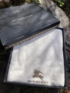 Item thumbnail for item 851a334f-807b-4a34-b224-873a6d5c5926