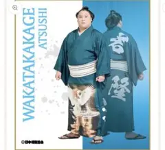 Item thumbnail for item c9dfbe1a-e5cf-4ed7-a879-044ccd6bf9b1