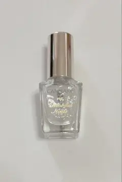 CANMAKE カラフルネイルズ N2A 10ml