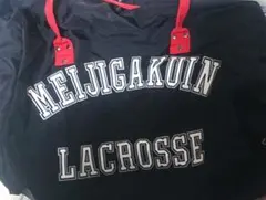 Item thumbnail for item 724e91c8-f0b2-4f4c-87e8-9a05dafed1d5