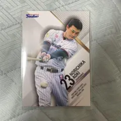 青木宣親 23 東京ヤクルトスワローズ プロ野球チップス　カード