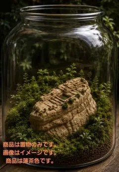 もののけ姫 植木鉢 プランター 苔デザイン - メルカリ