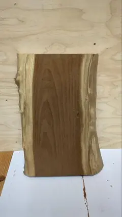 NO.2105　桑（クワ）　木材