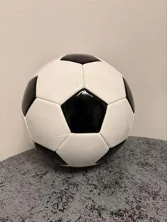 公式サイズ5 練習用サッカーボール