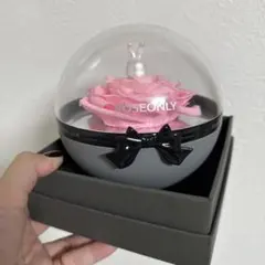 Item thumbnail for item 634a8ebb-2553-4eff-9676-b20cff1e2db7