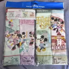 ディズニーリゾート ミニタオル 4枚セット ファンタジースプリングス