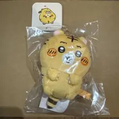 ナガノの虎 ぬいぐるみくじ マスコット D賞