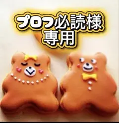 プロフ必読様専用