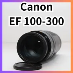 Canon EF 100-300mm 望遠ズームレンズ 運動会 イベント