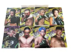 Item thumbnail for item 373b1da6-09bb-4f0c-9291-c46fbbe4a249