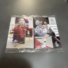 山内晶大 バレーボール 日本代表 トレーディングカード 2枚セット