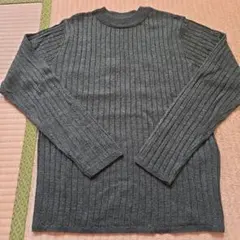 E hyphen world gallery セーター　グリーン