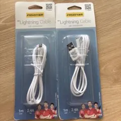 【2本セット】PISEN iPhone 充電ケーブル Lightning 1m