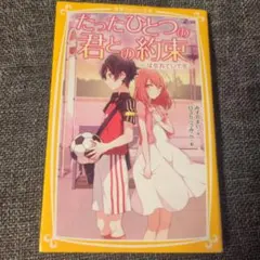 たったひとつの君との約束 ～はなれていても～