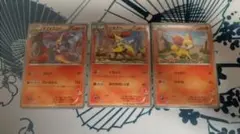 フォッコ テールナ マフォクシーのセット