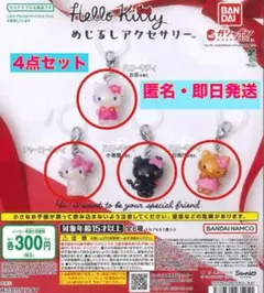 ハローキティ めじるしアクセサリー 4種セット 日焼け 小悪魔 お花 チャーミー