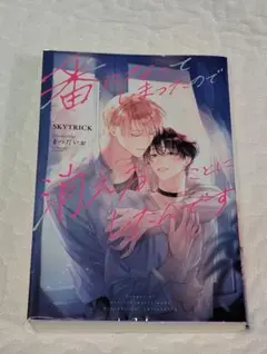 番になってしまったので消えることにしたんです　SKYTRICK